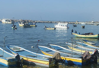 الصورة غير متاحة