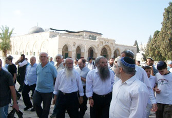 الصورة غير متاحة