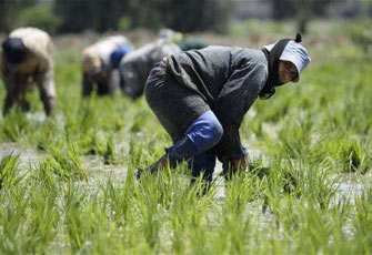 الصورة غير متاحة