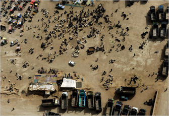 الصورة غير متاحة