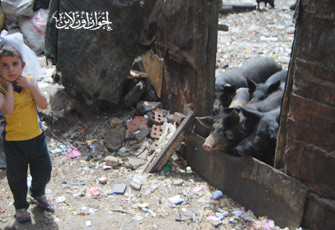 الصورة غير متاحة