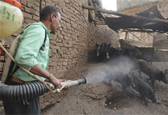 الصورة غير متاحة