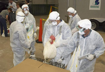 الصورة غير متاحة