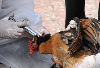 الصورة غير متاحة