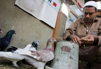 الصورة غير متاحة