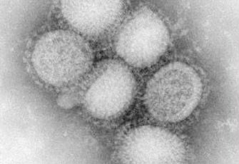 الصورة غير متاحة