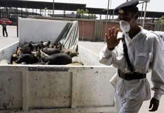 الصورة غير متاحة