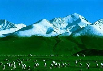 الصورة غير متاحة