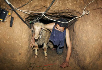 الصورة غير متاحة