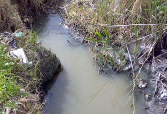 الصورة غير متاحة