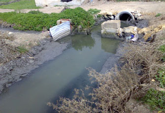 الصورة غير متاحة