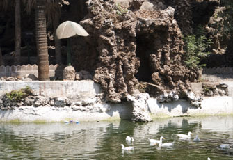 الصورة غير متاحة