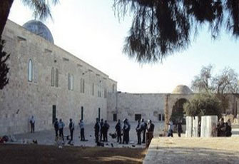 الصورة غير متاحة