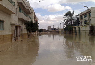 الصورة غير متاحة