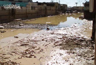 الصورة غير متاحة