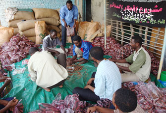 الصورة غير متاحة