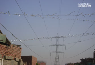 الصورة غير متاحة