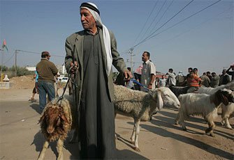 الصورة غير متاحة