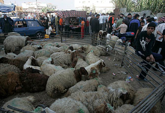الصورة غير متاحة