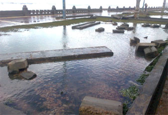 الصورة غير متاحة