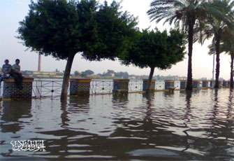 الصورة غير متاحة