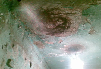 الصورة غير متاحة