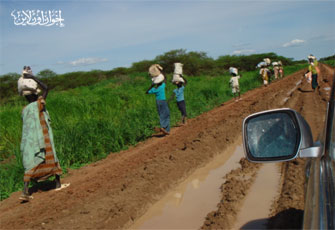 الصورة غير متاحة