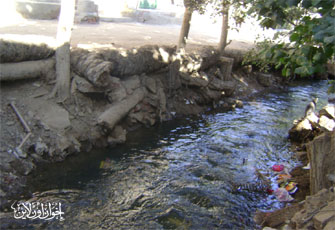 الصورة غير متاحة