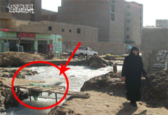 الصورة غير متاحة