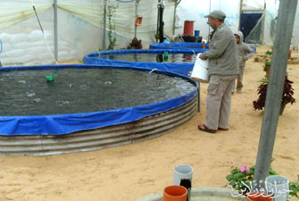 الصورة غير متاحة