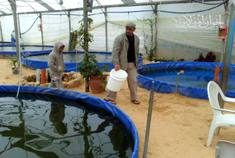 الصورة غير متاحة