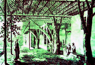 الصورة غير متاحة