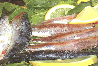 الصورة غير متاحة