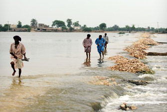 الصورة غير متاحة