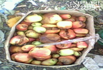 الصورة غير متاحة