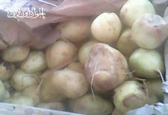 الصورة غير متاحة