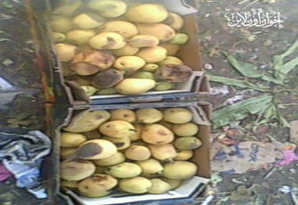 الصورة غير متاحة