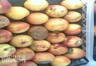 الصورة غير متاحة