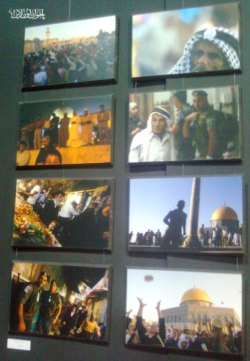 الصورة غير متاحة