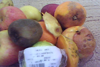 الصورة غير متاحة