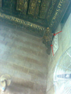 الصورة غير متاحة