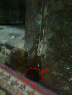 الصورة غير متاحة