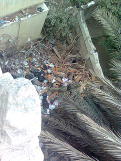 الصورة غير متاحة