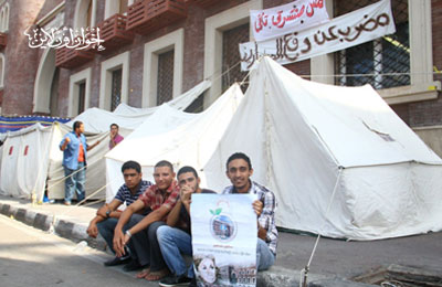 الصورة غير متاحة