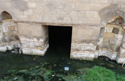 الصورة غير متاحة