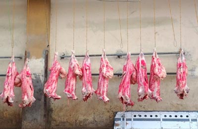 الصورة غير متاحة