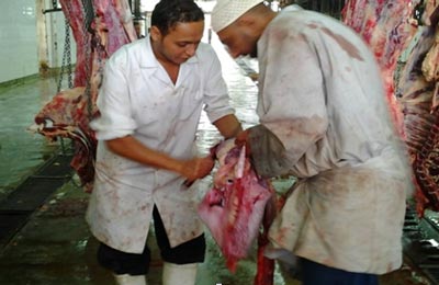 الصورة غير متاحة