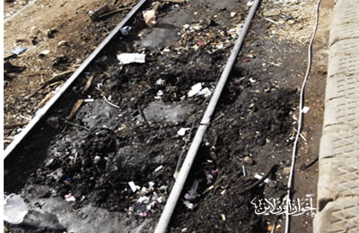 الصورة غير متاحة