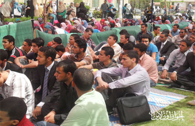الصورة غير متاحة