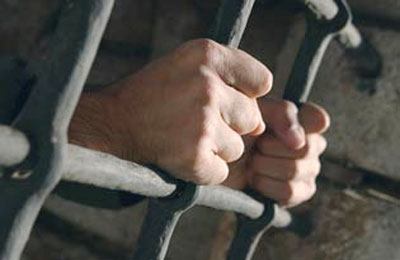 الصورة غير متاحة